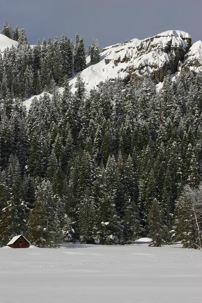 Lonely Cabin