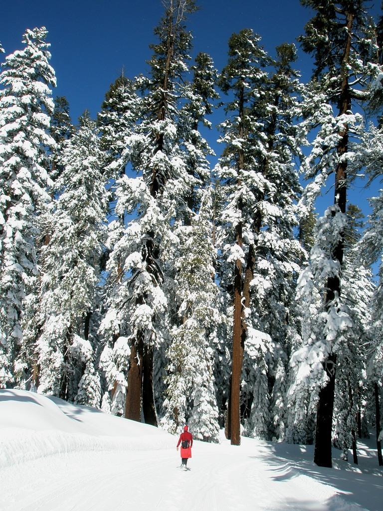 Roger in Yosemite.JPG