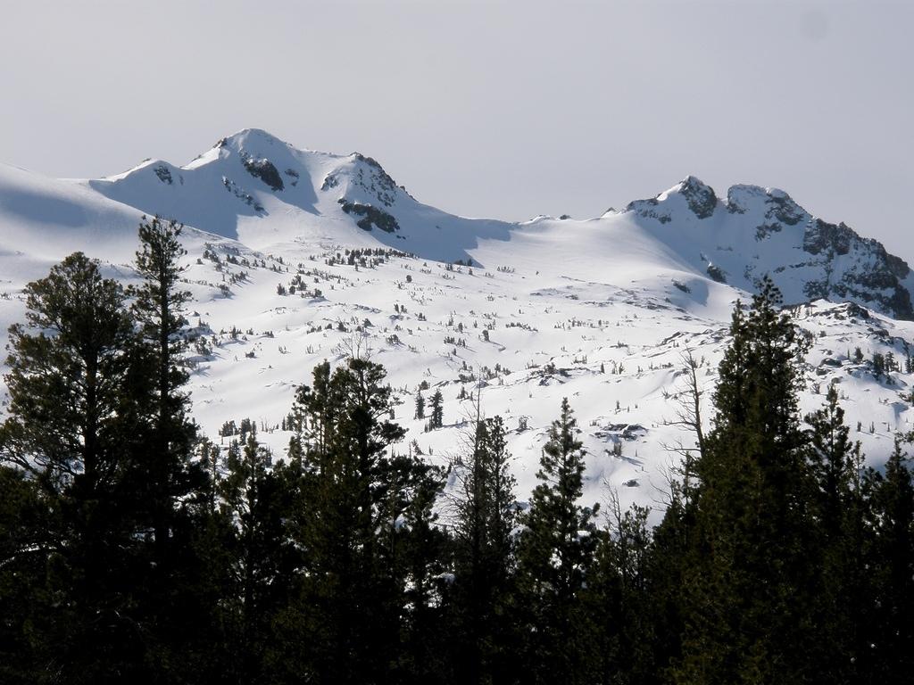 Way to Winnemucca Lake.JPG