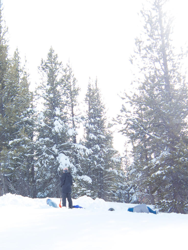 snowcamping-group2-trip-1-carson-pass-snopark (2 of 11)