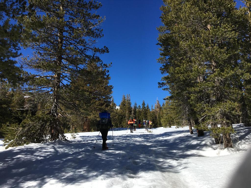 Snowshoers heading home