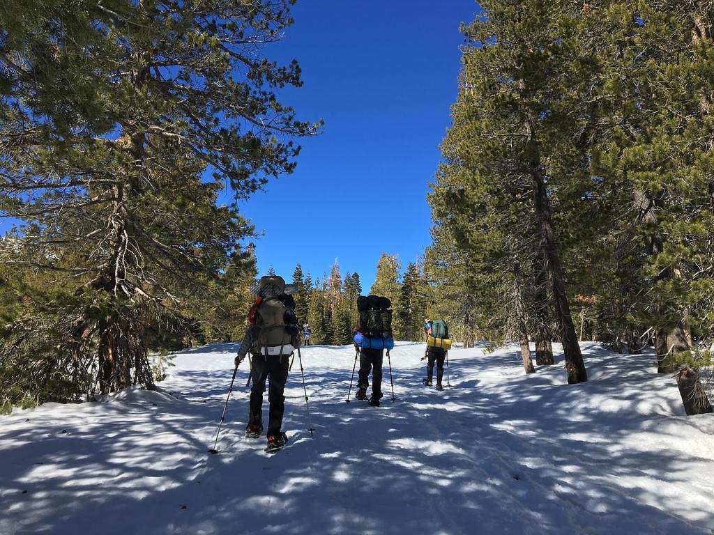 Snowshoers heading home