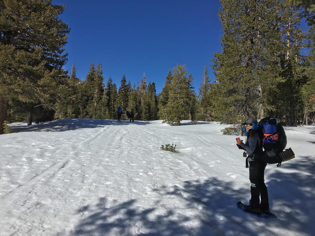 Leader Cynthia on snowshoes heading home