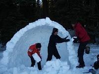 snowvault002.jpg