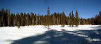 2008 Yosemite Group 4 Snow Camping- Tony's Pictures