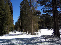 202 Groomed Trail to Picnic Area.JPG