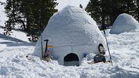 Igloo 101