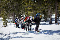 flayler-snowcamping-trip-1-14