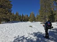 Leader Cynthia on snowshoes heading home